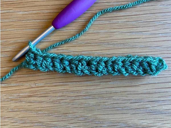 First row of crochet worked with green yarn and a purple crochet hook