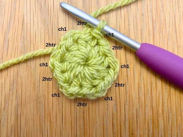 First round of a crochet hexagon with green yarn and a purple crochet hook